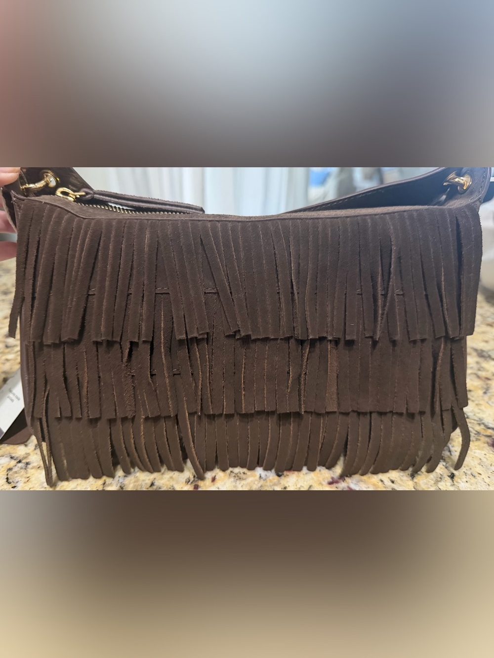 NWT Haute Hippie Chocolate Brown Genuine Suede Tiered Fringe Crossbody Bag
